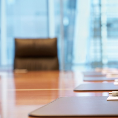 Risk Committee Blueprint: Guidance for Board Risk Oversight