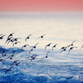 Road to COP 29: Transition today ─ a progress update