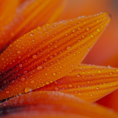 2025 Business Responsibility Report