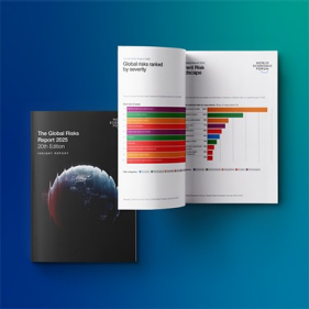 Global Risks Report 2025